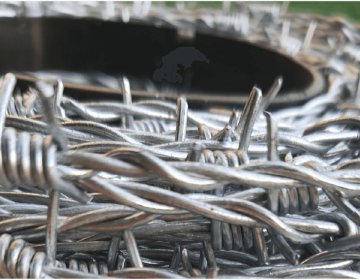 Barbed Wire