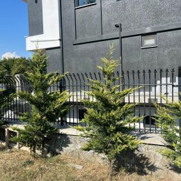 Decobor - Dekoratif Boru Çit