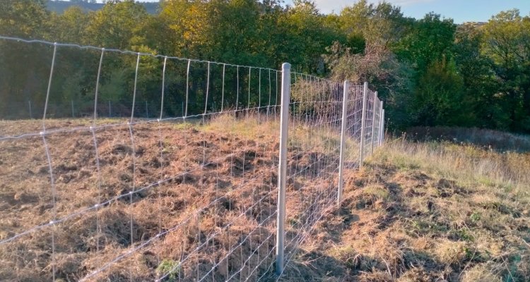 Knotted Wire Fence
