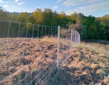 Knotted Wire Fence